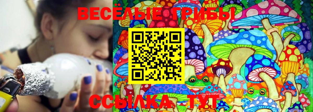 Псилоцибиновые грибы мицелий Пыть-Ях